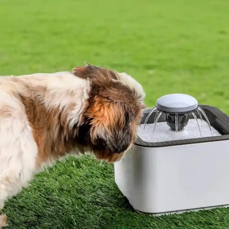 🐱🐶 Fuente De Agua Para Mascotas 2.5l – Con Filtros Y Motor Silencioso