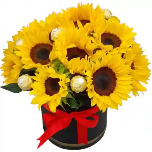 Girasoles En Caja Con Ferrero Rocher