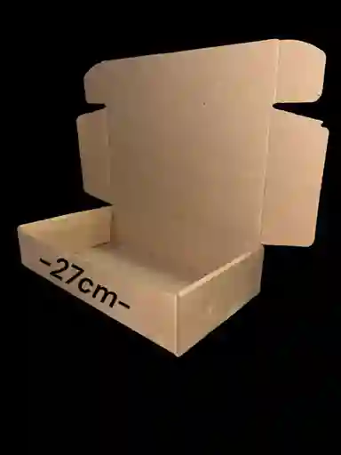 Caja En Carton Microcorrugado 27x15x6cm Plegable