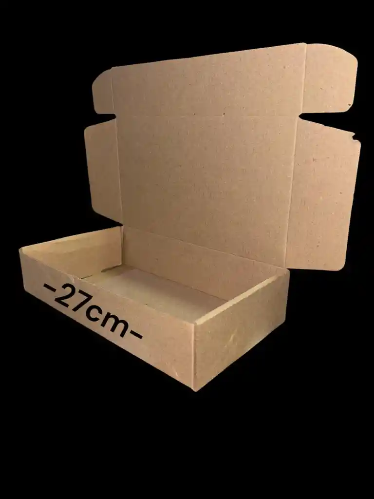 Caja En Carton Microcorrugado 27x15x6cm Plegable