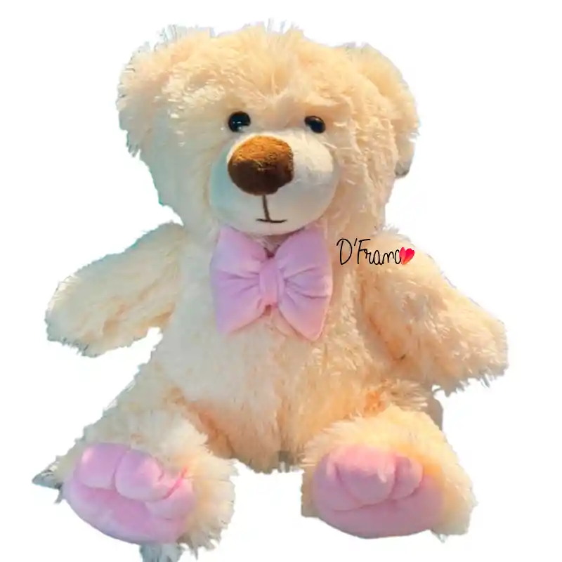 Osito De Peluche