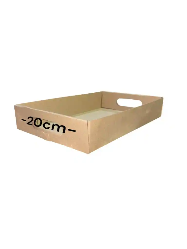 Caja En Carton Microcorrugado 30x20x5cm Plegable Bandeja