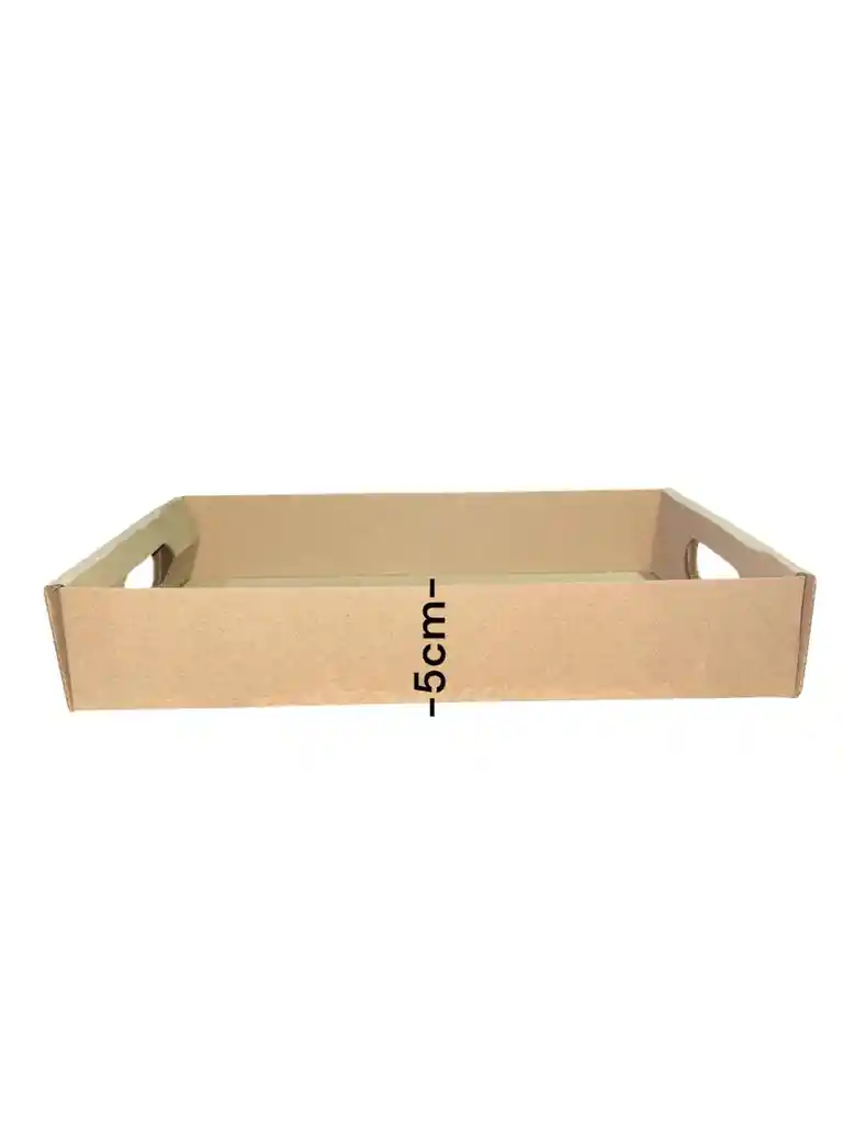 Caja En Carton Microcorrugado 30x20x5cm Plegable Bandeja