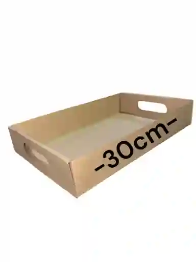 Caja En Carton Microcorrugado 30x20x5cm Plegable Bandeja