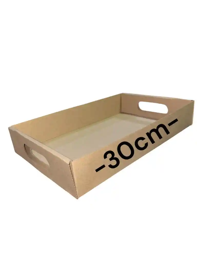 Caja En Carton Microcorrugado 30x20x5cm Plegable Bandeja
