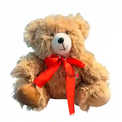 Oso Bear Cali