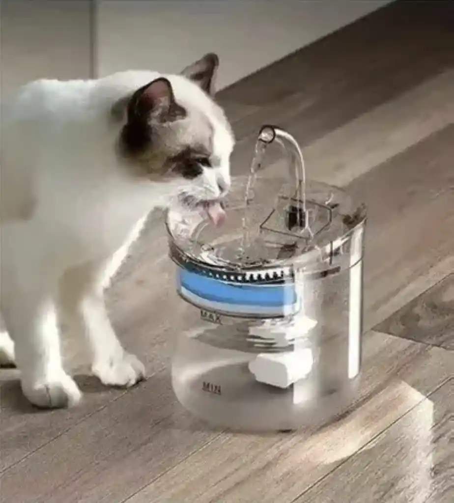 Fuente Para Gato, Mascotas Color Trasparente
