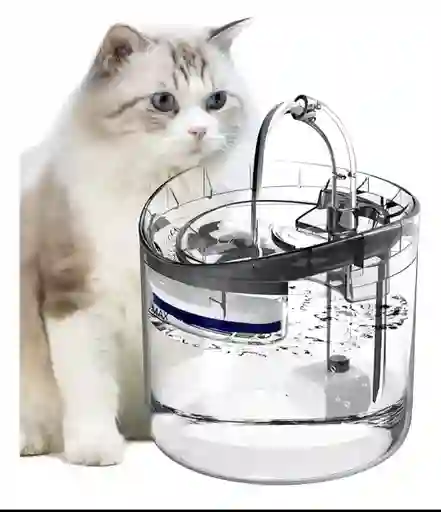 Fuente Para Gato, Mascotas Color Trasparente