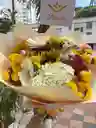 Encanto Floral