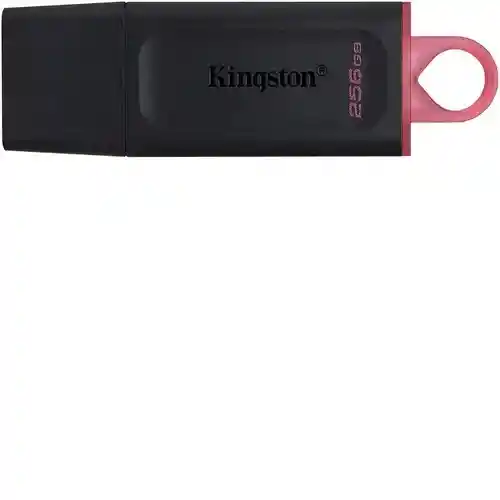 Memoria Usb Kingston Exodia Dtx/256 256gb 3.2 Gen 1 Negro