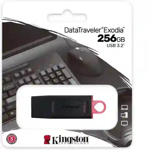 Memoria Usb Kingston Exodia Dtx/256 256gb 3.2 Gen 1 Negro