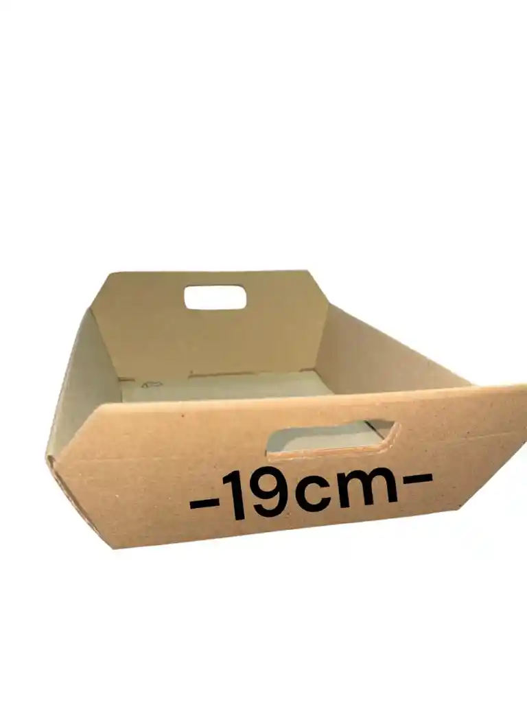 Bandeja En Carton Microcorrugado 25x19x6cm