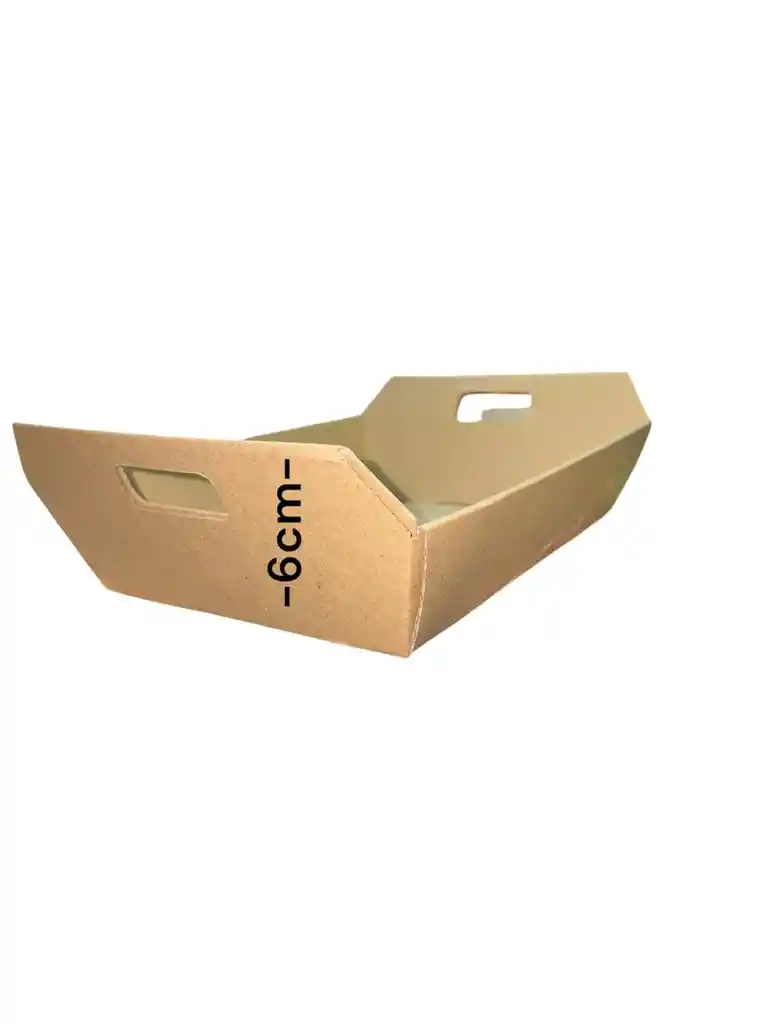 Bandeja En Carton Microcorrugado 25x19x6cm