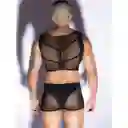 Conjunto De Malla Para Machos Sin Vergüenza
