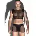 Conjunto De Malla Para Machos Sin Vergüenza