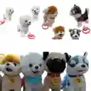 Perro Mascota Peluche Niños Niñas Con Movimiento Musical