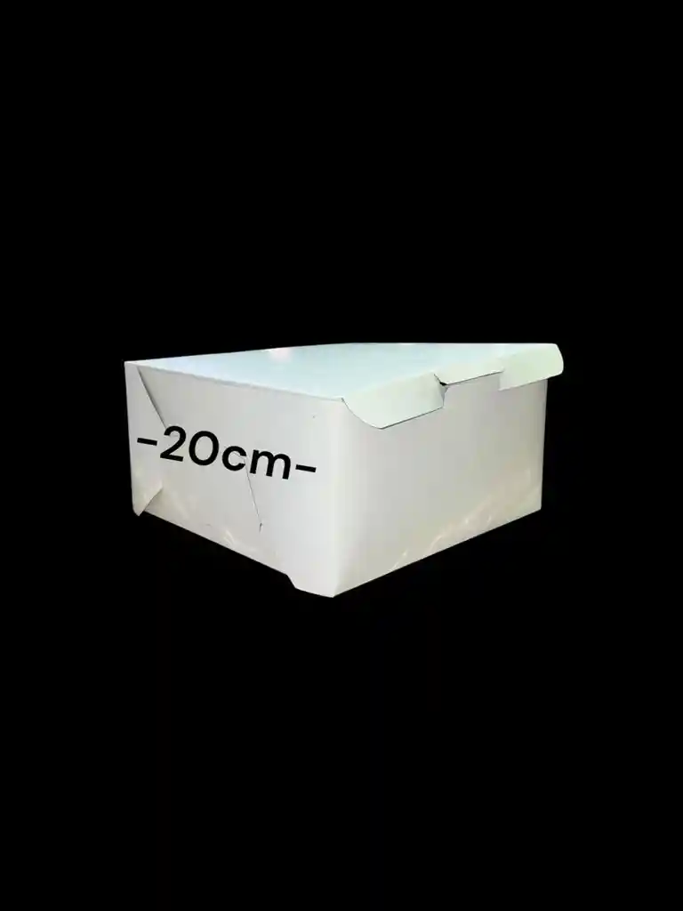 Caja En Carton Cartulina Blanca O Cafe 20x20x10cm
