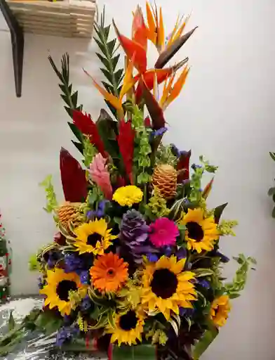Girasoles Gerberas Y Más