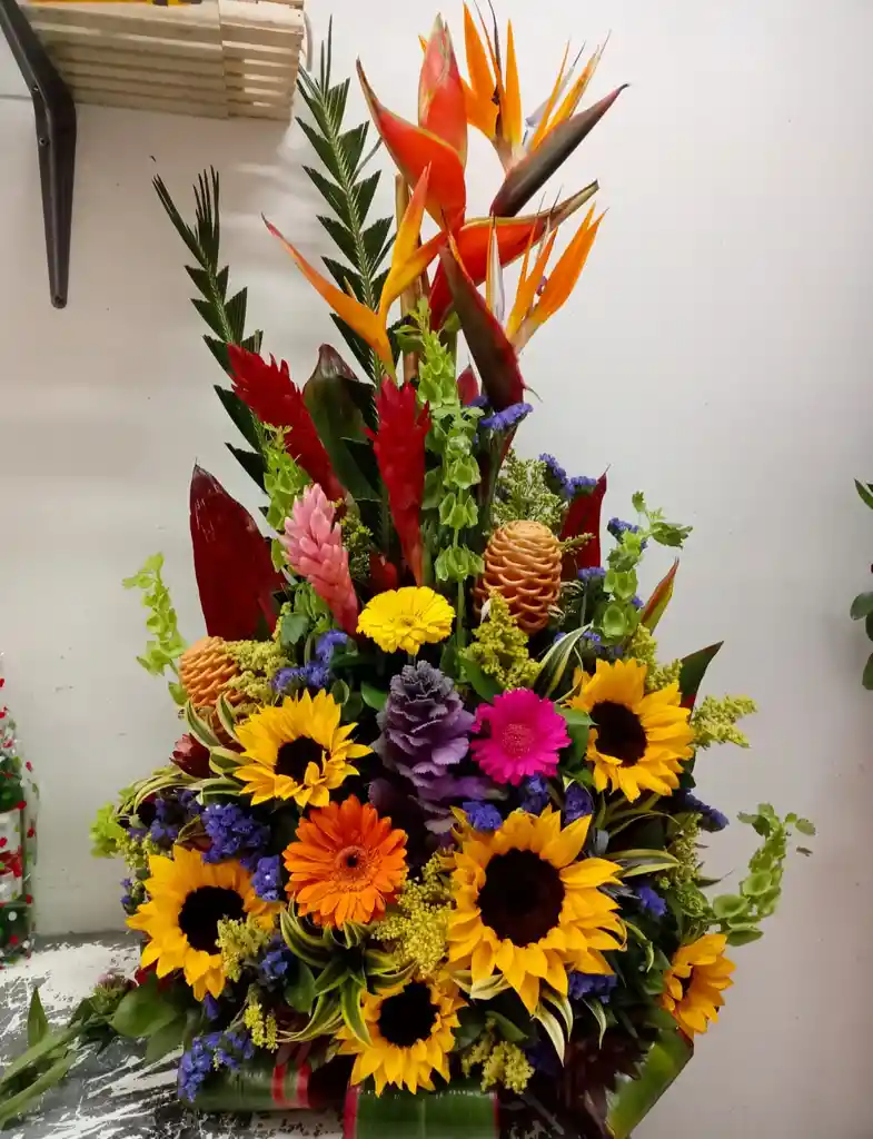 Girasoles Gerberas Y Más