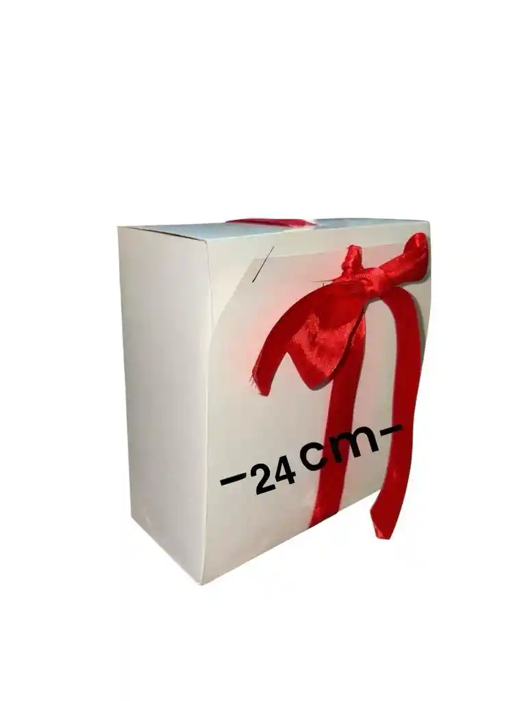 Caja De Carton En Cartoncartulina Tipo Sobre 24x24x7cm