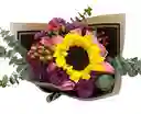 Rayo De Sol Floral