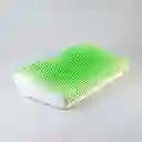 Almohada Expressions 60x35cm Verde Poliuretano
