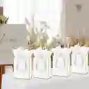 Bolsa De Regalo. Papel Metálico Con Asa De Lujo