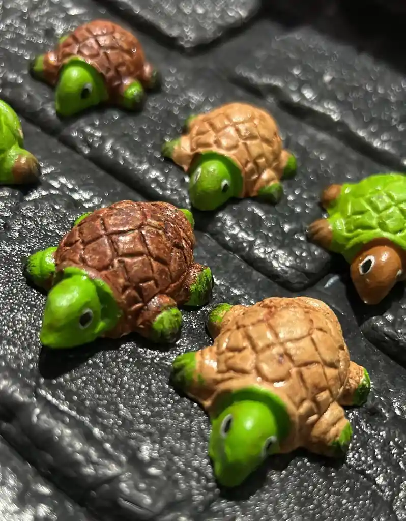Animales Para Maqueta Tortuga X6 Unidades Tortuga X6 Unidades