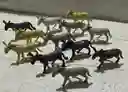 Animales Para Maqueta Burros X12 Unidades Burros X12 Unidades