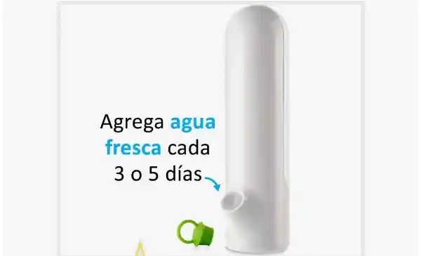 Recipiente Conservador De Hierbas O Especias Para La Nevera