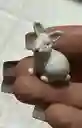 Animales Para Maqueta Conejo X Unidad Conejo X Unidad