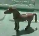 Animales Para Maqueta Caballo X Unidad Caballo X Unidad