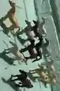 Animales Para Maqueta Caballo X12 Unidades Caballo X12 Unidades