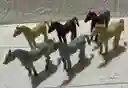 Animales Para Maqueta Caballo X6 Unidades Caballo X6 Unidades