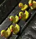 Animales Para Maqueta Patos X6 Unidades Patos X6 Unidades