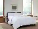 Plumón Comfort Bedlife King