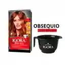 Tinte Igora Brillance 757 Topacio+obsequio