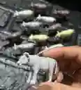 Animales Para Maqueta Vacas X12 Unidades Vacas X12 Unidades