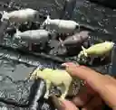 Animales Para Maqueta Vacas X6 Unidades Vacas X6 Unidades