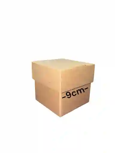 Caja En Carton Microcorrugado Cubo 9x9x9 Tapa Base