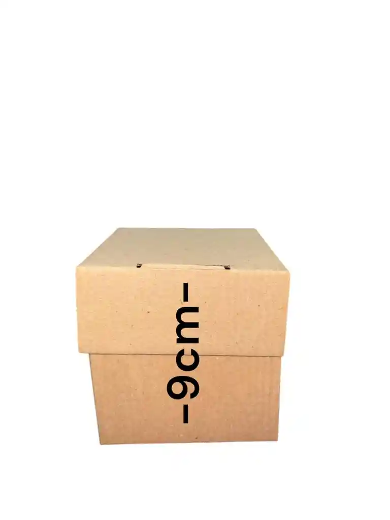 Caja En Carton Microcorrugado Cubo 9x9x9 Tapa Base