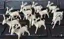 Animales Para Maqueta Renos X12 Unidades