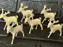 Animales Para Maqueta Renos X6 Unidades