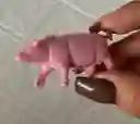 Animales Para Maqueta Cerdo O Marrano X Unidad