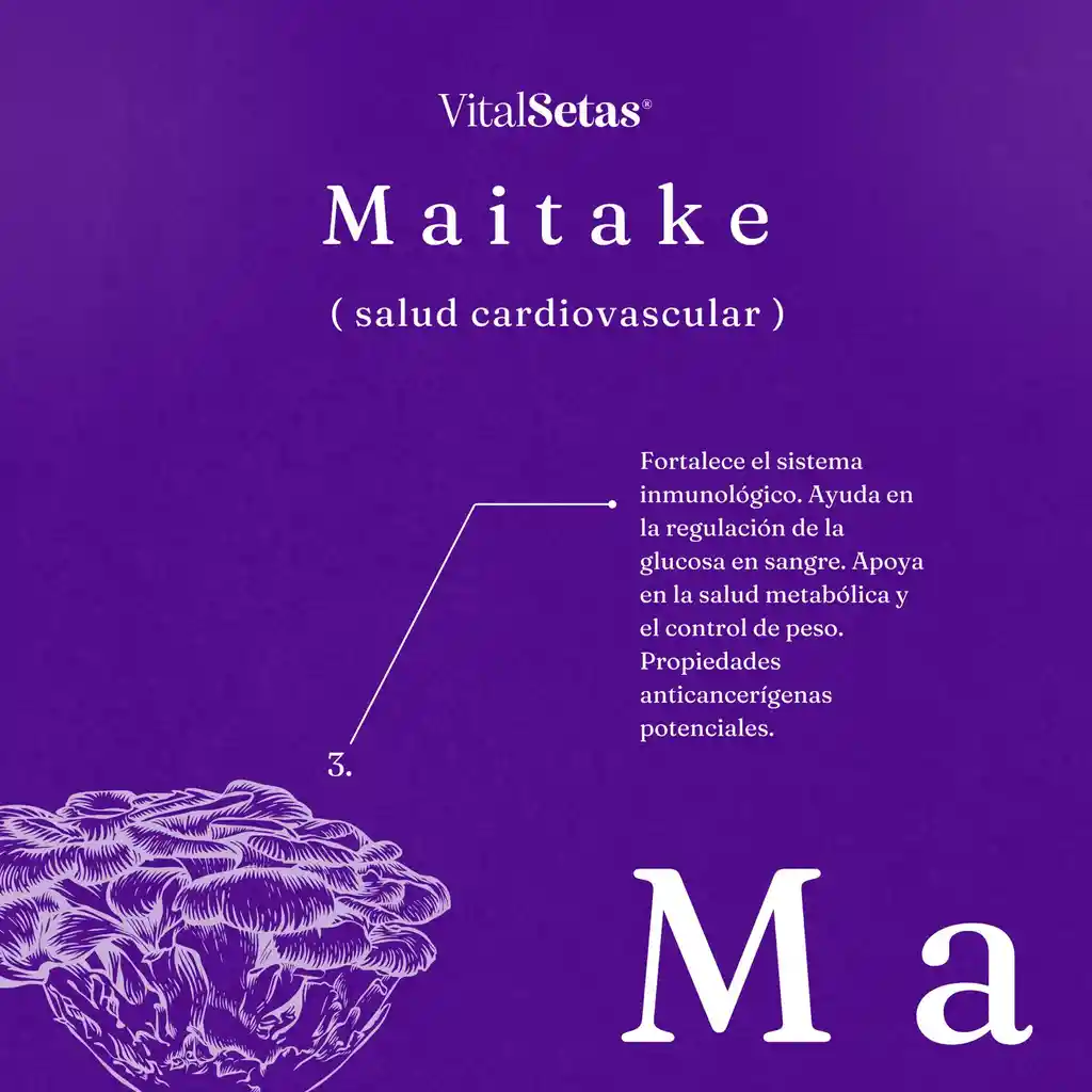 Cápsulas De Maitake Vitalsetas