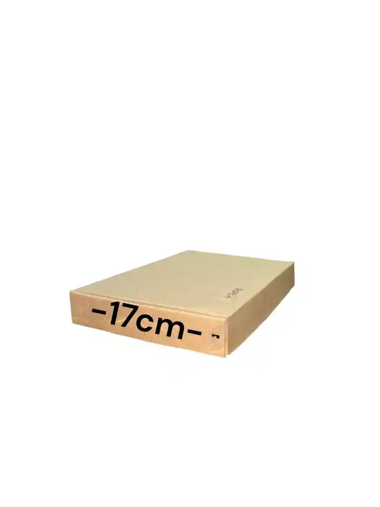 Caja En Carton Microcorrugado 27x17x3cm Plegable