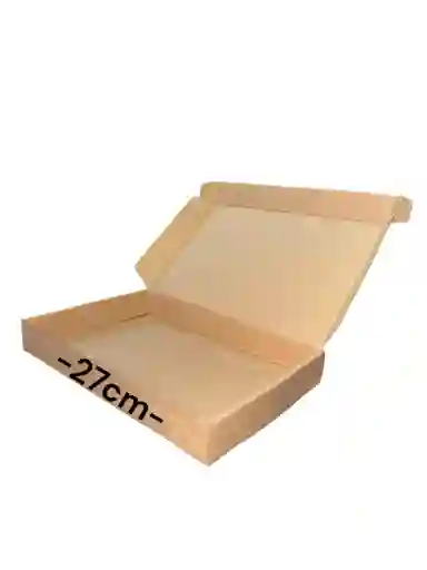 Caja En Carton Microcorrugado 27x17x3cm Plegable