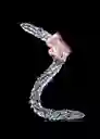 Dildo Xxl 39cm Texturizado Consolador Super Largo Estimulador Ano Y Vagina Unisex Masajeador Masturbador