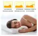 Almohada Aloe Vera