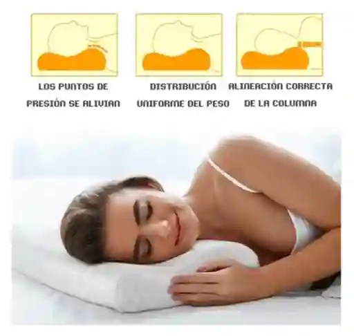 Almohada Aloe Vera